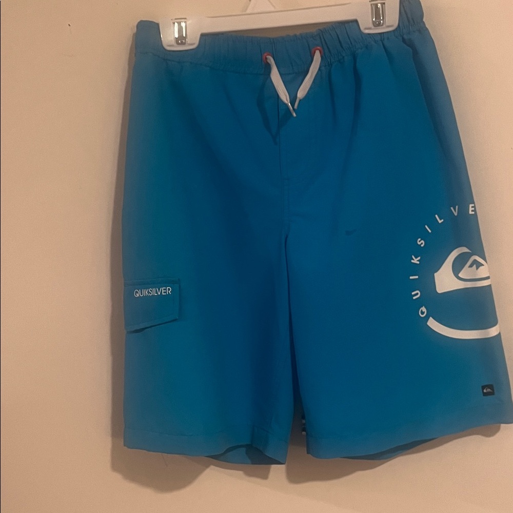 Quiksilver Men's green Board Shorts